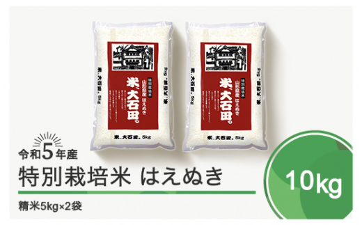 令和6年5月下旬発送 はえぬき10㎏ 精米  令和5年産