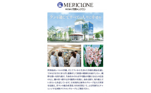 育毛剤 薬用育毛剤 蘭夢 黄金率 1本 《30日以内に出荷予定(土日祝除く)》株式会社 河野メリクロン 蘭 ラン 洋ラン 育毛 スプレー 育毛ローション 生え際 スカルプ 男性 女性 発毛促進 養毛 薄毛 抜け毛 育毛トニック シャンプー 送料無料 徳島県 美馬市