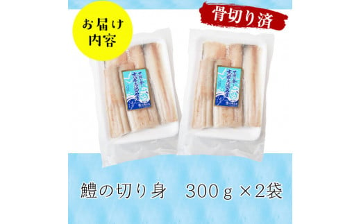 お鍋・はもしゃぶにも！志布志湾鱧（骨切り済み） 計600g a5-296