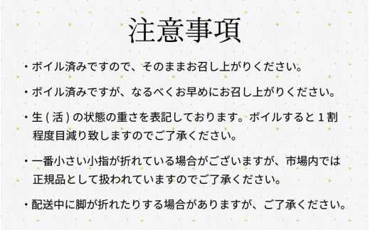 【年末発送】【先行予約】越前がに 600ｇ×3ハイ【2024年12月25～29日順次発送】｜蟹 かに カニ 越前ガニ 越前がに ズワイガニ ずわいがに ボイル 600g 3杯 3ハイ 福井 冷蔵 送料無料