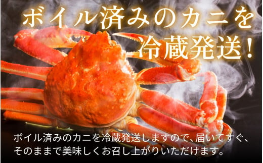 【年末発送】【先行予約】越前がに 600ｇ×3ハイ【2024年12月25～29日順次発送】｜蟹 かに カニ 越前ガニ 越前がに ズワイガニ ずわいがに ボイル 600g 3杯 3ハイ 福井 冷蔵 送料無料