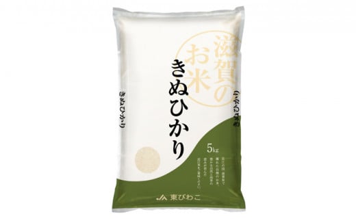 【新米】令和6年産甲良米「キヌヒカリ」白米 5kg お米 こめ コメ おこめ 白米 キヌヒカリ