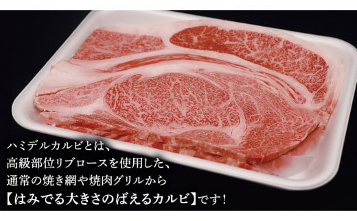 常陸牛 ハミデルカルビ 1kg （ 6～10枚 ） (茨城県共通返礼品)  国産 焼き肉 カブリ ゲタ リブ芯 リブ巻 中落ちカルビ バーベキュー BBQ お肉 ブランド牛 黒毛和牛 和牛 国産黒毛和牛 国産牛 牛肉