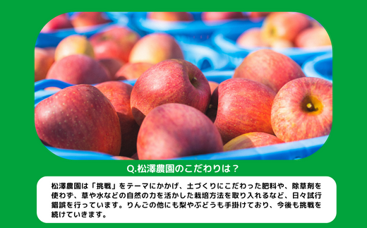 りんご サンふじ 秀 ～ 特秀 3kg 松澤農園 沖縄県への配送不可 2024年11月下旬頃から2025年1月下旬頃まで順次発送予定 令和6年度収穫分 長野県 飯綱町 [1336]