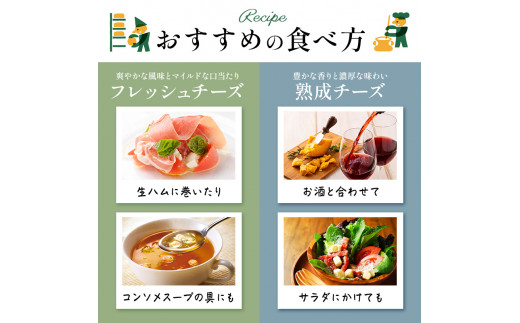 【チーズ工房那須の森】那須の森3種チーズおまかせセット（カチョカバロ＋フィラータスティック＋おまかせチーズ1種） ns003-001