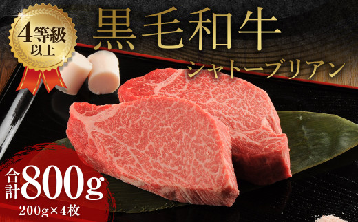 くまもと 黒毛和牛 シャトーブリアン 800g（200g×4枚）牛肉 牛 肉