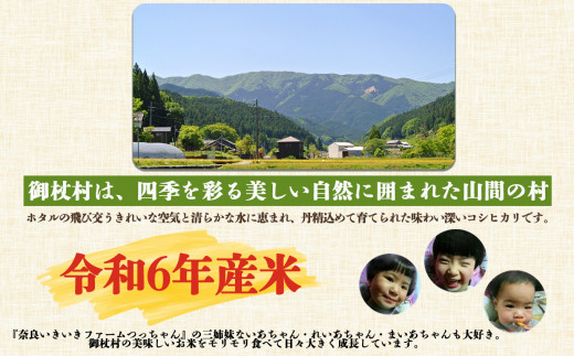 H01-3 【定期便】先行予約 令和6年 3姉妹も大好き コシヒカリ 12kg × 3回 合計 36kg (3回お届け)