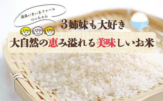 H01-3 【定期便】先行予約 令和6年 3姉妹も大好き コシヒカリ 12kg × 3回 合計 36kg (3回お届け)