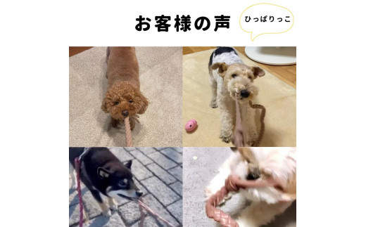 ＜動物看護士　制作＞愛犬ハッピーセット