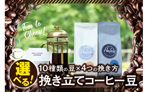 【豆】（ブレンド3+チャンチャマヨ2）挽き立てコーヒー豆 750gセット コーヒー豆 焙煎 コーヒー【hgo001-d-05】