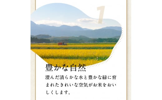 新米 令和6年産 米 10kg ひとめぼれ 白米 小分け 5kg 袋 便利 10キロ 災害 備蓄 食品 防災セット 非常食 岩手ふるさと米 お米 いわて 東北 コメ ブランド米 白飯 ごはん 炊飯 ランキング 国産 レトルト カレー 岩手県 金ケ崎町 送料無料