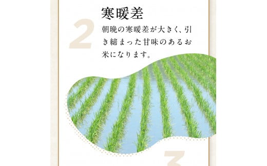 新米 令和6年産 米 10kg ひとめぼれ 白米 小分け 5kg 袋 便利 10キロ 災害 備蓄 食品 防災セット 非常食 岩手ふるさと米 お米 いわて 東北 コメ ブランド米 白飯 ごはん 炊飯 ランキング 国産 レトルト カレー 岩手県 金ケ崎町 送料無料