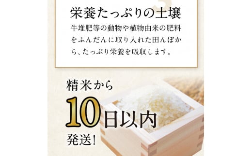 新米 令和6年産 米 10kg ひとめぼれ 白米 小分け 5kg 袋 便利 10キロ 災害 備蓄 食品 防災セット 非常食 岩手ふるさと米 お米 いわて 東北 コメ ブランド米 白飯 ごはん 炊飯 ランキング 国産 レトルト カレー 岩手県 金ケ崎町 送料無料