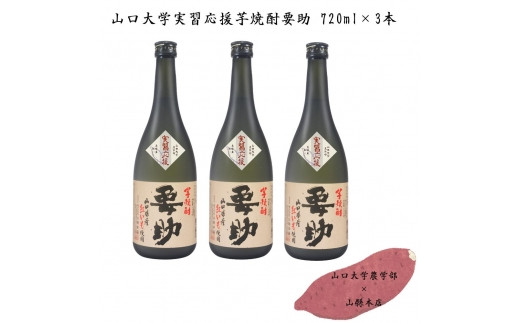 山口大学実習応援芋焼酎要助セット720ml× 3本