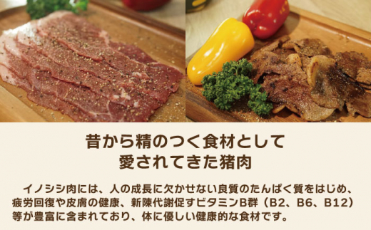 ジビエ 天然イノシシ肉 粗挽きミンチ肉 800g【照本食肉加工所】 [OAJ017] / 猪 猪肉 いのしし肉 イノシシ イノシシ肉 ジビエ いのしし 長崎県猪 川棚町産猪 ぼたん鍋用いのしし 九州産イノシシ じびえ ジビエ ジビエ肉