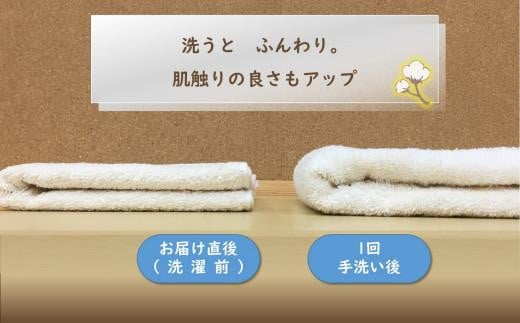 【泉州タオル】サロン仕様オーガニックタオル　バスタオル3枚 / タオル 日用品 速乾 綿100％ シンプル オーガニック コットン ホテル エステサロン まとめ買い