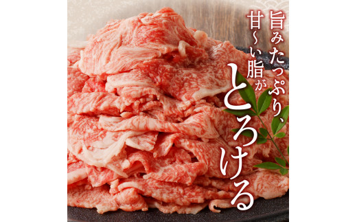 宮崎牛小間切れ900g(450g×2ﾊﾟｯｸ) N061-YZB212