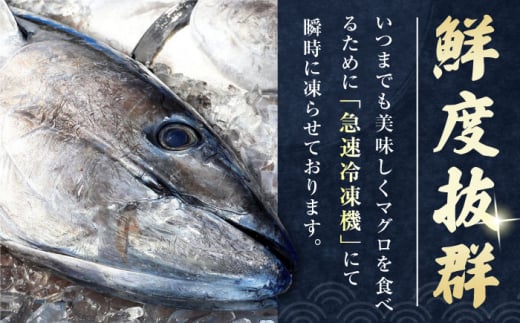 【お歳暮対象】対馬産 養殖 本マグロ　中トロ 1.2kg(8パック)《対馬市》【対海】マグロ 鮪 まぐろ 本鮪 中とろ [WAH020]