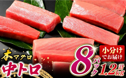 【お歳暮対象】対馬産 養殖 本マグロ　中トロ 1.2kg(8パック)《対馬市》【対海】マグロ 鮪 まぐろ 本鮪 中とろ [WAH020]