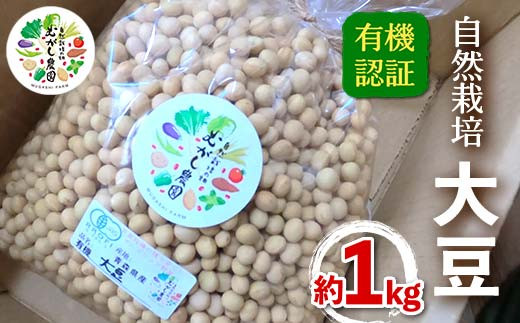 有機認証 自然栽培 大豆 約1kg 【むがし農園】オーガニック F21U-377