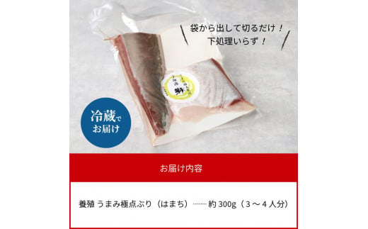 数量限定日向灘ぶり(はまち)うまみ極点製法食べきりﾊﾟｯｸ300g N124-YZA3304