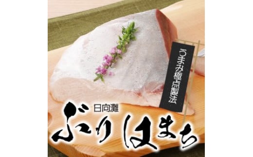 数量限定日向灘ぶり(はまち)うまみ極点製法食べきりﾊﾟｯｸ300g N124-YZA3304