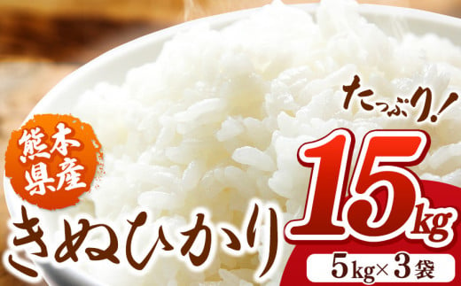 熊本県産 きぬひかり 15kg ( 5kg × 3袋 ) | 米 こめ お米 おこめ 白米 精米 令和5年産 熊本県 玉名市