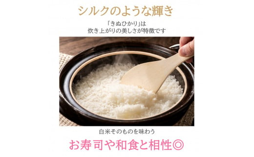 熊本県産 きぬひかり 15kg ( 5kg × 3袋 ) | 米 こめ お米 おこめ 白米 精米 令和5年産 熊本県 玉名市