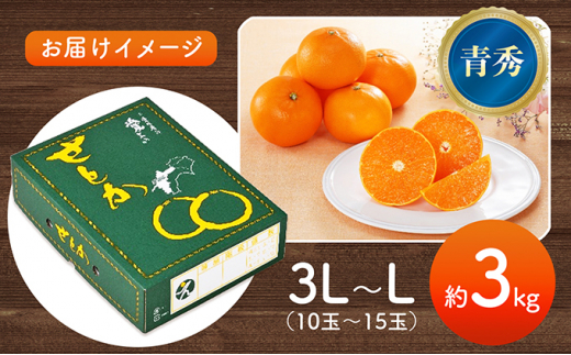 せとか ハウス栽培　青秀　約3kg [№5303-0212]