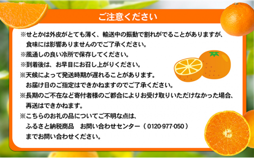 せとか ハウス栽培　青秀　約3kg [№5303-0212]