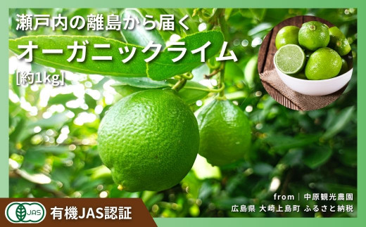 ｜予約｜大崎上島産 有機JAS認証！オーガニックライム 約1kg