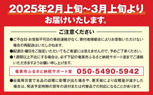 【2025年先行予約】奄美タンカン 優品 5kg（2L～Mサイズ）　A074-002