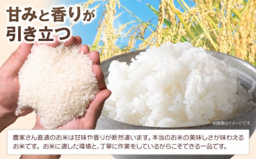 はなみち農園のうんまいお米・白米 令和6年産 10kg 《30日以内に出荷予定(土日祝除く)》白米 美馬市産 実森ラボラトリー株式会社 自家製小麦のお店mimori 送料無料 徳島県 美馬市