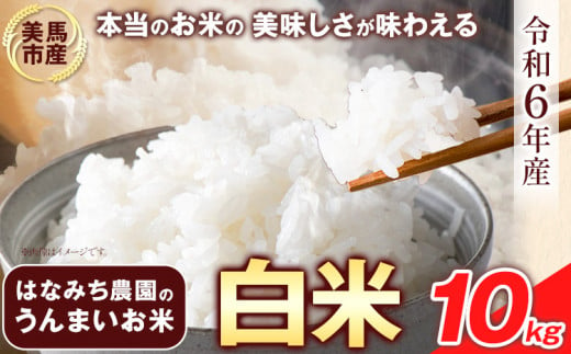 はなみち農園のうんまいお米・白米 令和6年産 10kg 《30日以内に出荷予定(土日祝除く)》白米 美馬市産 実森ラボラトリー株式会社 自家製小麦のお店mimori 送料無料 徳島県 美馬市