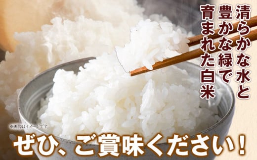 はなみち農園のうんまいお米・白米 令和6年産 10kg 《30日以内に出荷予定(土日祝除く)》白米 美馬市産 実森ラボラトリー株式会社 自家製小麦のお店mimori 送料無料 徳島県 美馬市