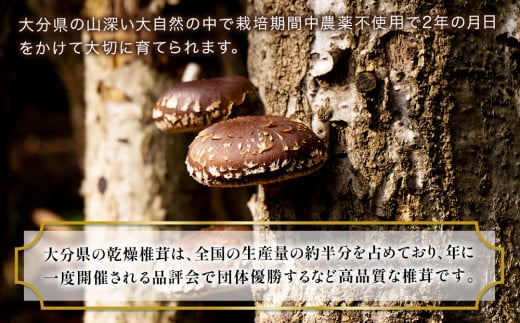 大分県産スライス椎茸 50g×2袋・焼き椎茸パウダー40g×2袋 詰合せ 干し椎茸 しいたけ 乾燥しいたけ 原木 大分県 津久見市 九州産野菜