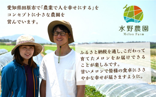 ふるさと納税 先行予約 タカミメロン 5kg 3〜5玉 水野農園 2025 ふるさと納税 先行予約 タカミメロン 5kg 3〜5玉 水野農園 2025