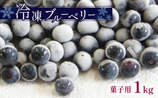 冷凍ブルーベリー (菓子用) ｜ 果物 くだもの フルーツ ブルーベリー 冷凍 菓子用 スムージー ジャム 1kg 山口 美祢市 美祢 特産品