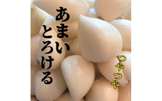 ＜月1000箱売れてる＞テレビ朝日1泊家族で紹介「にんにくの王様　白玉王」青森にんにく5玉【1551321】