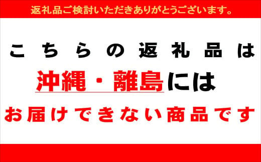 予約受付【2025年7月下旬頃から順次発送】【期間限定】地元下呂市の人気者！大地の恵みがぎゅーっと詰まった果肉が厚い 大玉トマト 約 2kg（サイズ混合）《飛騨下呂産》麗月 とまと 産地直送 2キロ 野菜 トマト