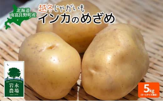 北海道 南富良野町 越冬じゃがいも「インカのめざめ」5kg(S～Lサイズ混合) 越冬 じゃがいも ジャガイモ インカ インカの目覚め 野菜 やさい