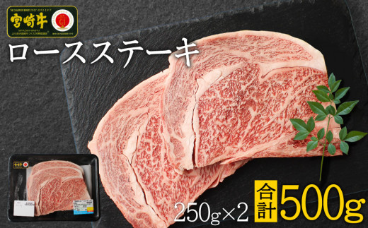 宮崎牛 ロースステーキ 合計500g（250g×2P） 国産 肉 牛肉 ご飯 おかず BBQ ディナー お祝い 【C270-24-30】