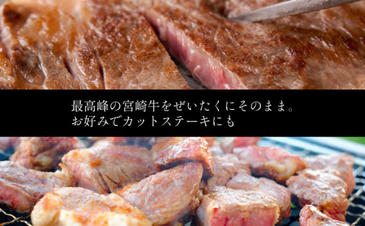 宮崎牛 ロースステーキ 合計500g（250g×2P） 国産 肉 牛肉 ご飯 おかず BBQ ディナー お祝い 【C270-24-30】