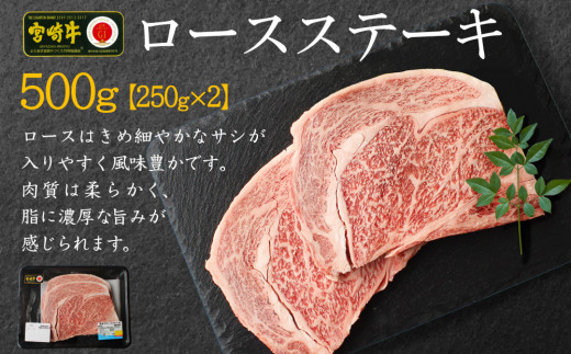 宮崎牛 ロースステーキ 合計500g（250g×2P） 国産 肉 牛肉 ご飯 おかず BBQ ディナー お祝い 【C270-24-30】