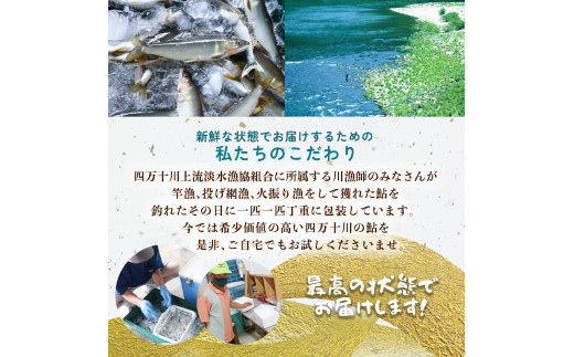  四万十川上流の天然鮎 冷凍 火振り漁鮎 800g（4～12尾）【着日指定不可】Esj-11k あゆ アユ 魚 魚介 川魚 塩焼き 冷凍 天然 レシピ付 個包装 小分け