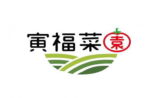 北海道上ノ国町産 寅福菜園のトマト「サステナブルトマト＆ミニトマトセット」　各2㎏