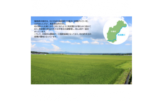 ＜令和6年産新米/先行予約＞＜食べ比べ＞中島村産『コシヒカリ』『天のつぶ』(精米) 各5kg【1542555】