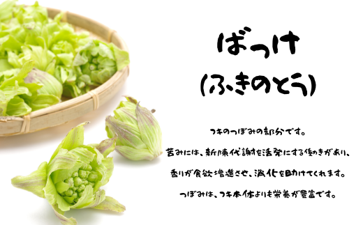 ばっけ（ふきのとう）は、フキのつぼみの部分。苦味は新陳代謝を活発にし、香りで食欲増進、消化を助けてくれます。