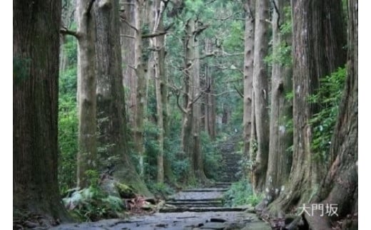 【那智勝浦町、白浜町、上富田町】JTBふるさと旅行券（紙券）90,000円分