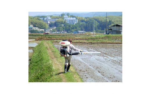 2023年5月発送開始『定期便』ひのひかり精米5kg＜令和4年産＞(一等米)全4回【5087173】